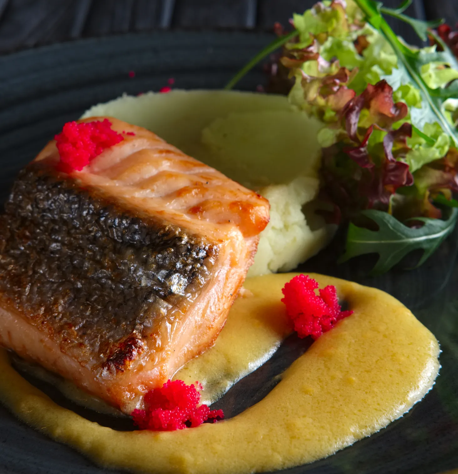 Perfect Wine Pairings for Every Delicious Meal